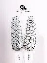 Craquelure 3051.webp